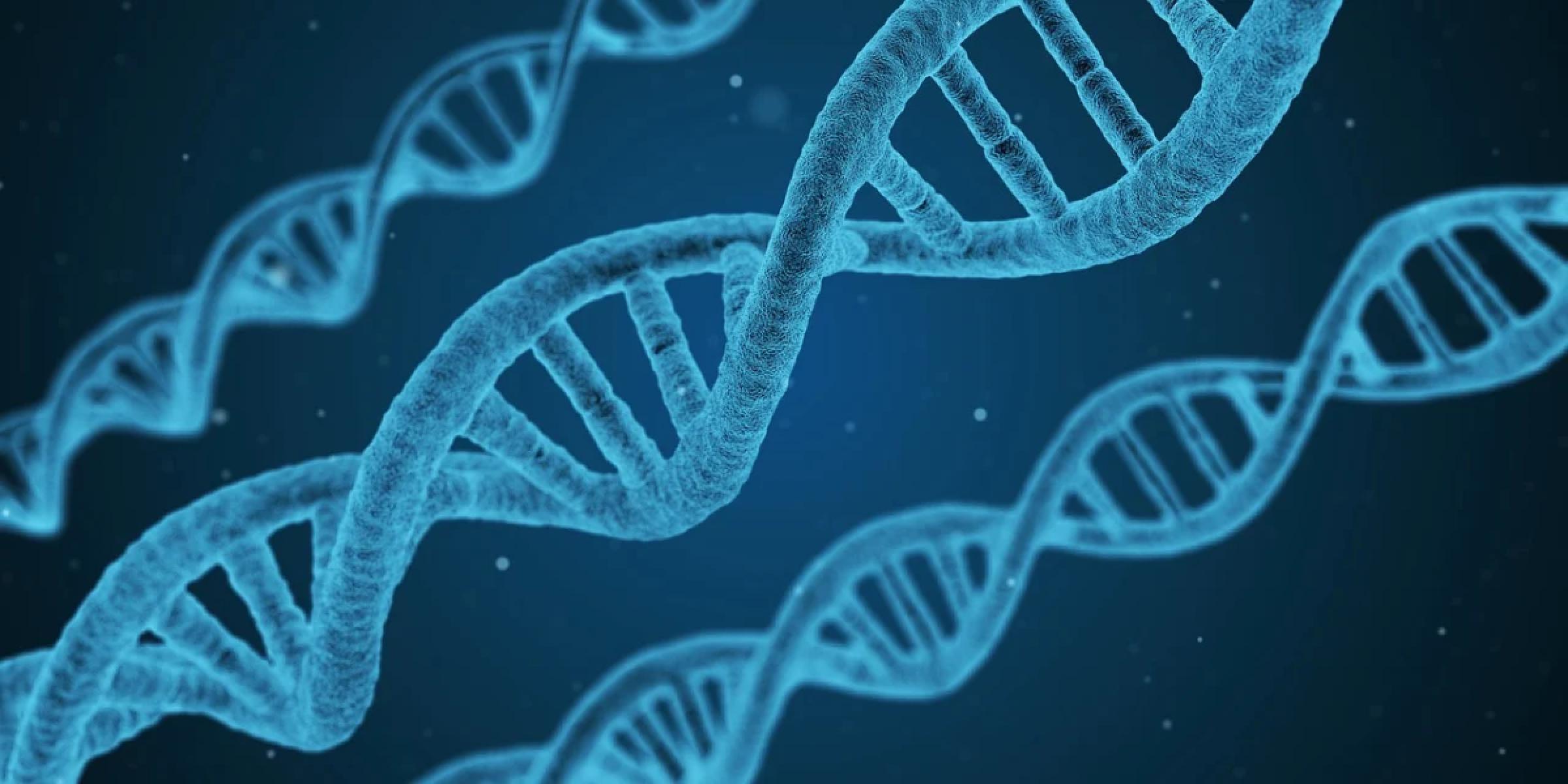 How To Review Parents DNA Results